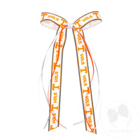 Collegiate Logo Streamer Bow