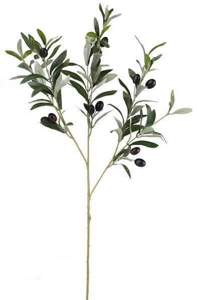 Green Olive Stem w/Burgundy Olives - 28"L