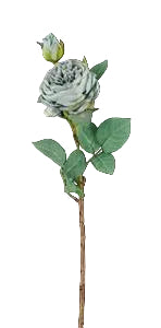 Rose/Leaf Stem - Dusty Blue - 21"
