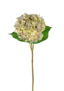 Real Touch Hydrangea Stem - Two Tone Green - 20"