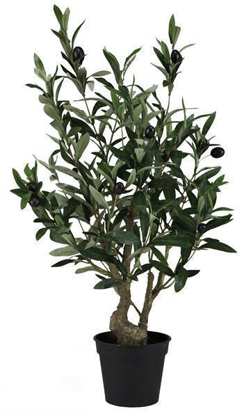 Potted Olive Tree - 26"
