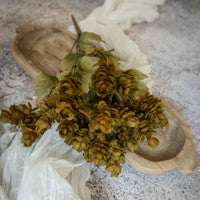 Green Hops Bush - 14"