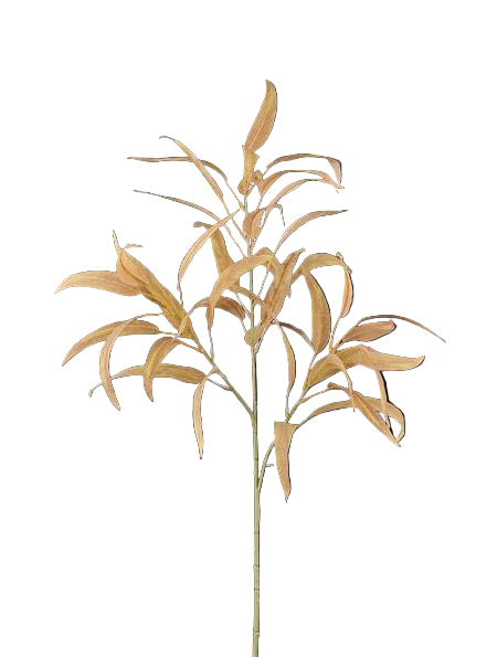 Willow Leaf Spray - Tan 28"