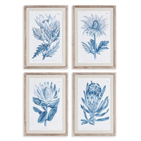 Indigo Protea Prints