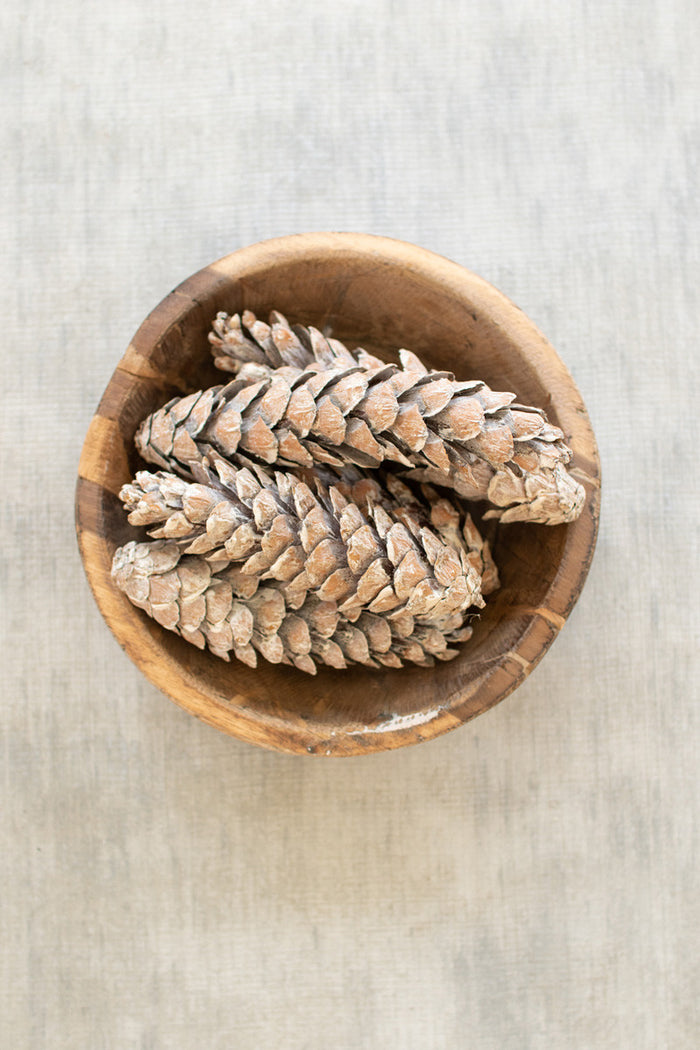 Bag of Strobus Pine Cones- Frosted White