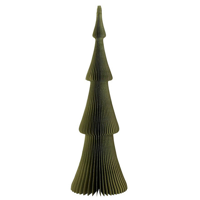 Paper Tree Frasier Fir Dark Green