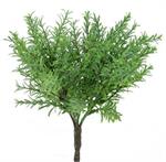 Thyme Bush, Green/Gret