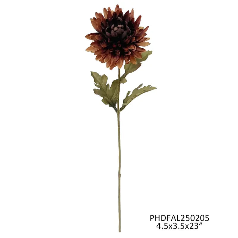 Chrysanthemum Chill Stem