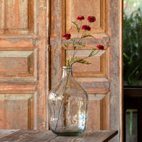 Aster - Rust