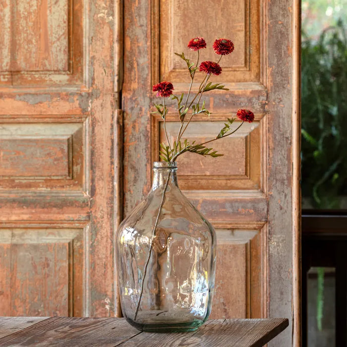 Aster - Rust