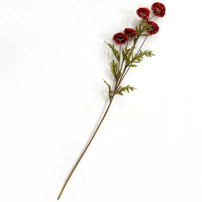 Aster - Rust