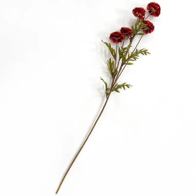 Aster - Rust