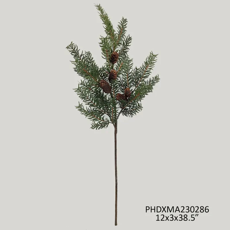 Douglas Fir Branch