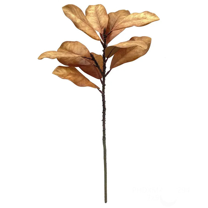 Magnolia Stem - Cinnamon