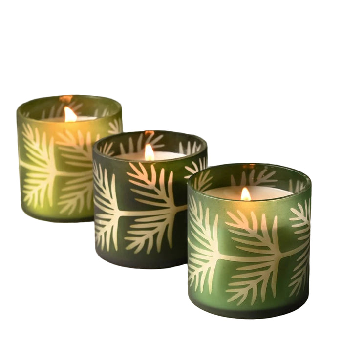 Pine Glass Candle Collection