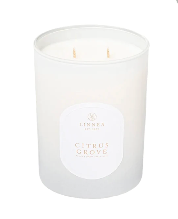 Two Wick Candle- Citrus Grove