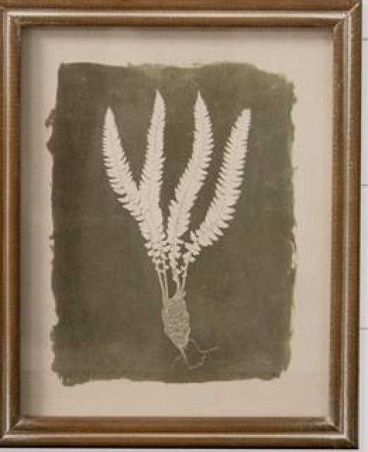 Green Leaf Silhouette  - Framed Print