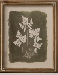 Green Leaf Silhouette  - Framed Print