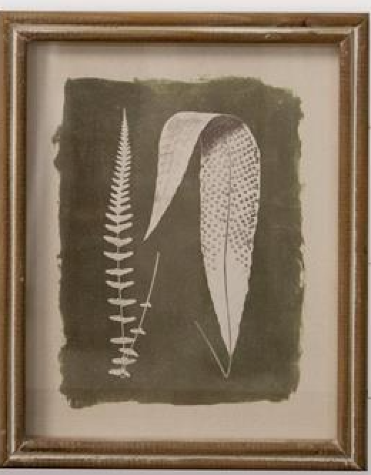 Green Leaf Silhouette  - Framed Print