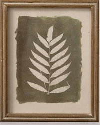 Green Leaf Silhouette  - Framed Print