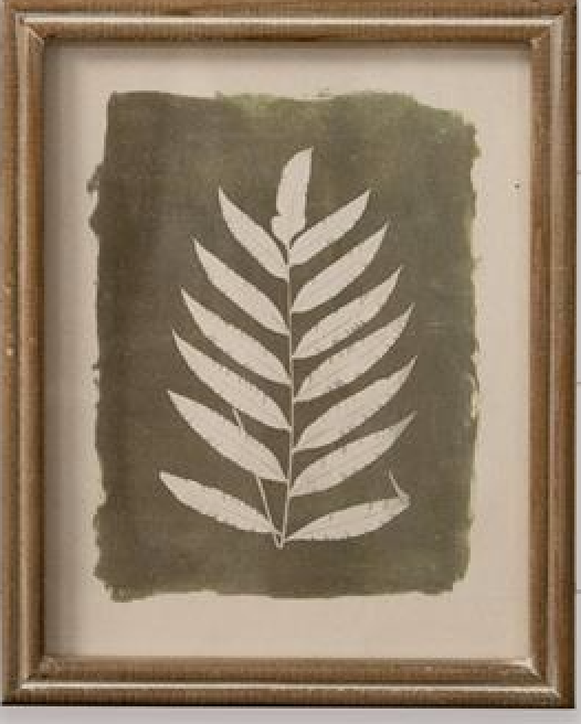 Green Leaf Silhouette  - Framed Print