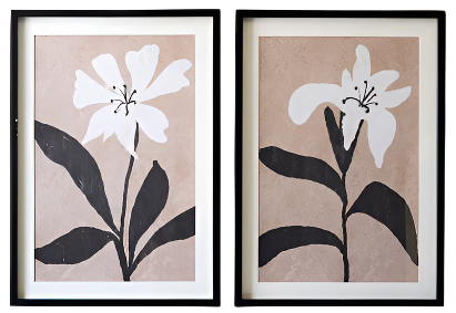 Framed Flower Prints Under Glass - set of 2