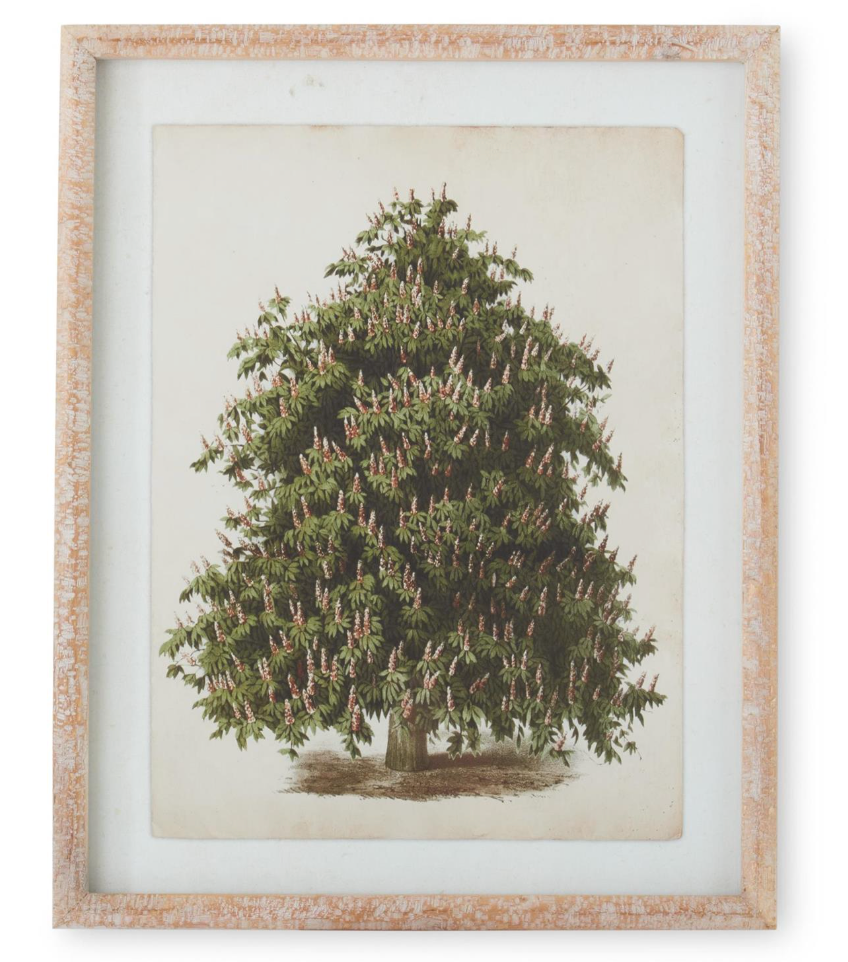 Carved Wood Framed Pine Tree Prints