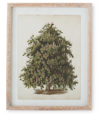 Carved Wood Framed Pine Tree Prints