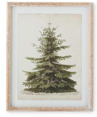 Carved Wood Framed Pine Tree Prints