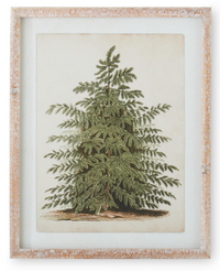 Carved Wood Framed Pine Tree Prints