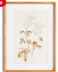 Fleur De Blanc Prints