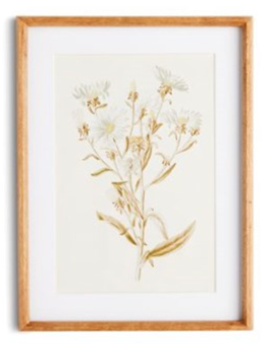 Fleur De Blanc Prints