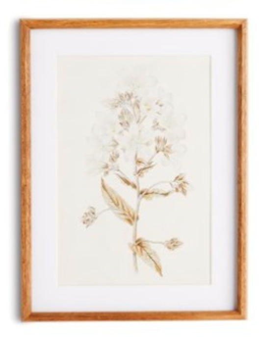 Fleur De Blanc Prints