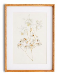 Fleur De Blanc Prints