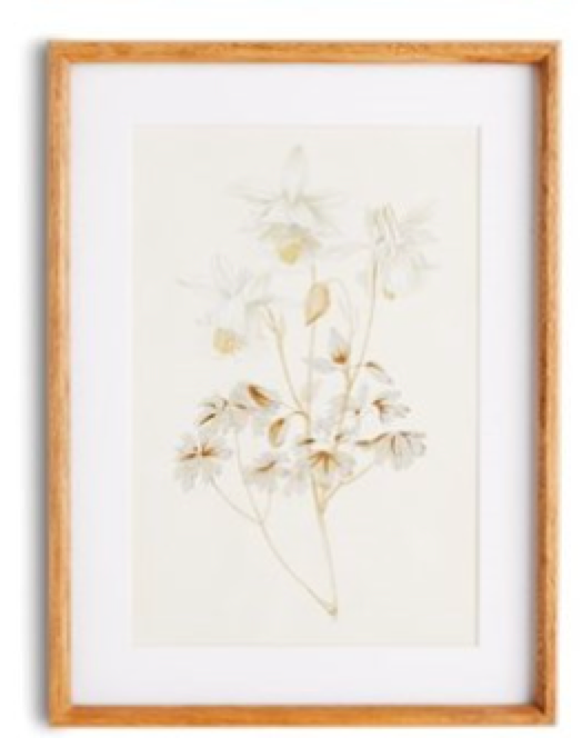 Fleur De Blanc Prints