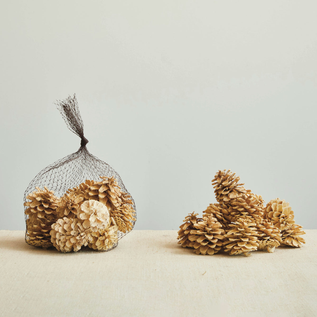 Dried Natural Pinecones in Mesh Bag