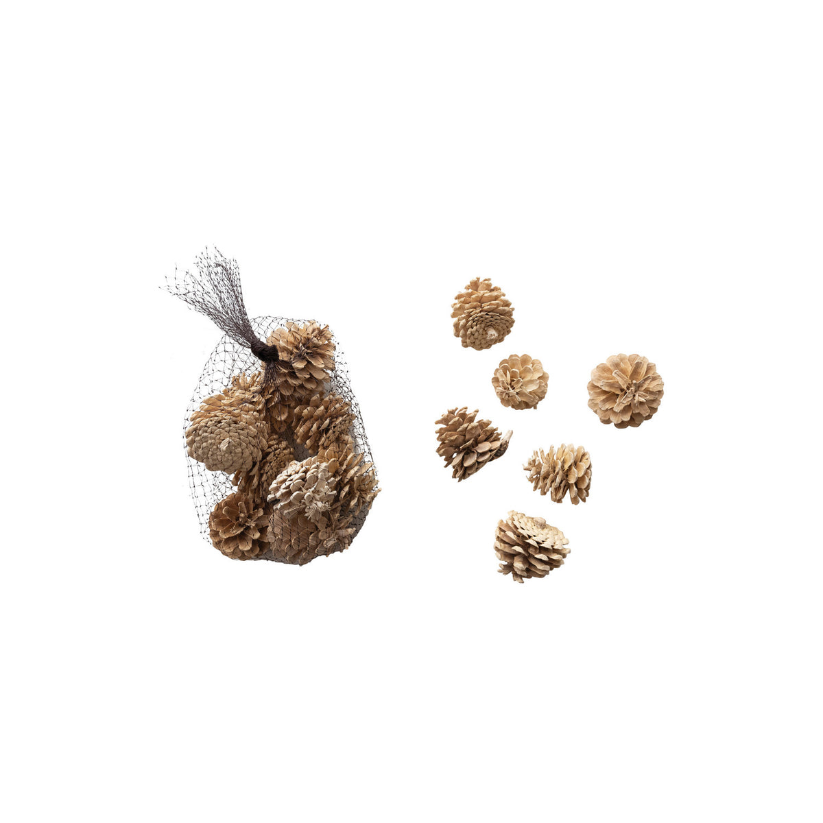 Dried Natural Pinecones in Mesh Bag