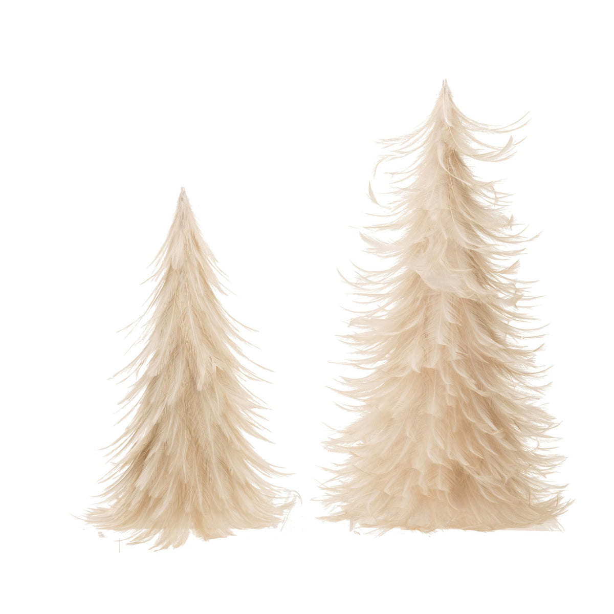 Feather Trees