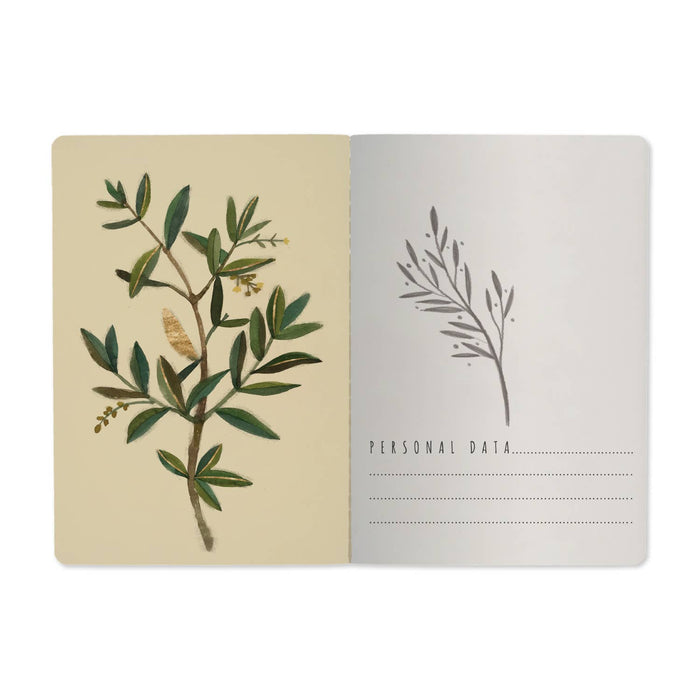 Olive Branch Notebook