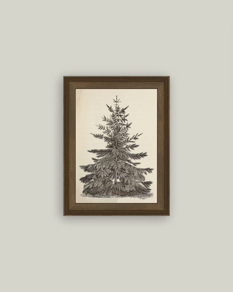 Vintage Pine Tree Framed Antique Art - 5x7