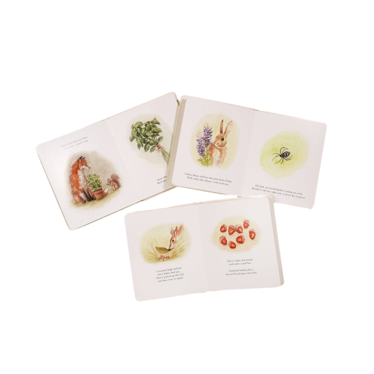 Our Little Adventures Box Set for Kids