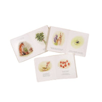 Our Little Adventures Box Set for Kids
