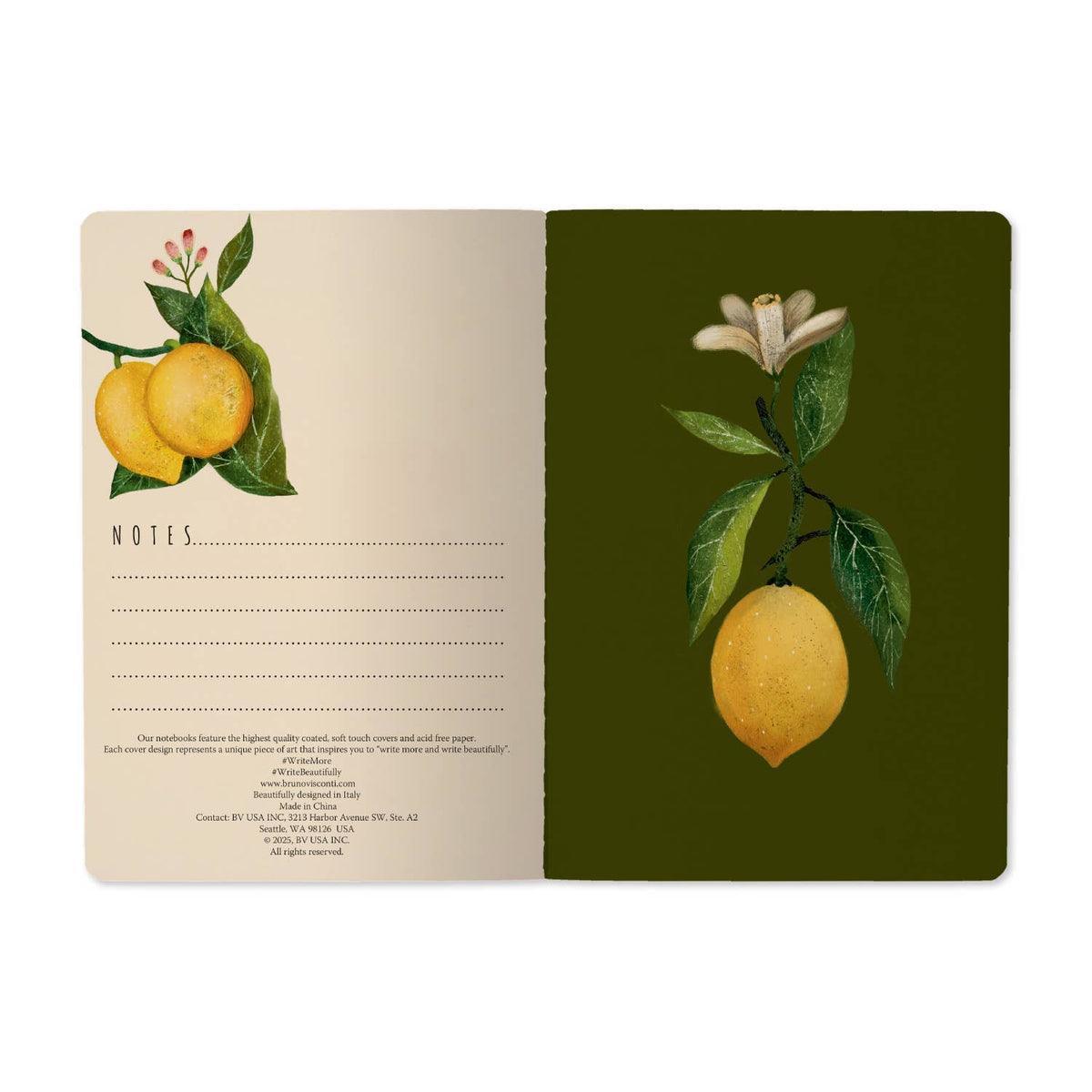 Notebook - Lemons