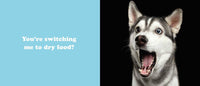 Secret Thoughts of Dogs