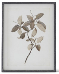 Black Wood Framed Botanical Print