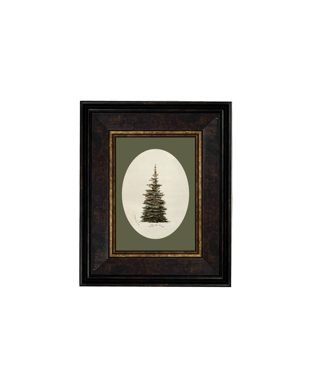 Oval Matte Tree - 10 x 12