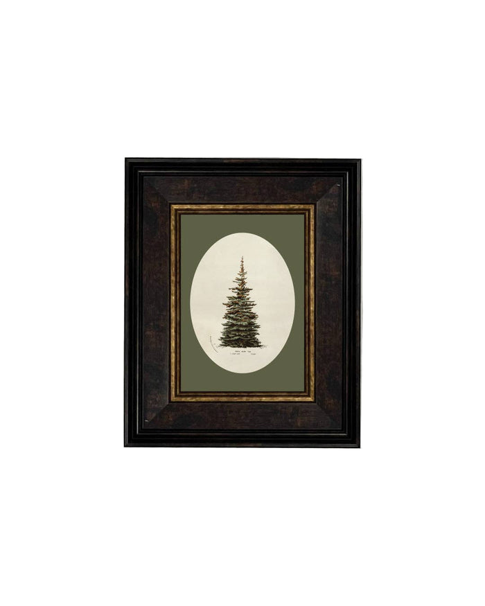 Oval Matte Tree - 10 x 12