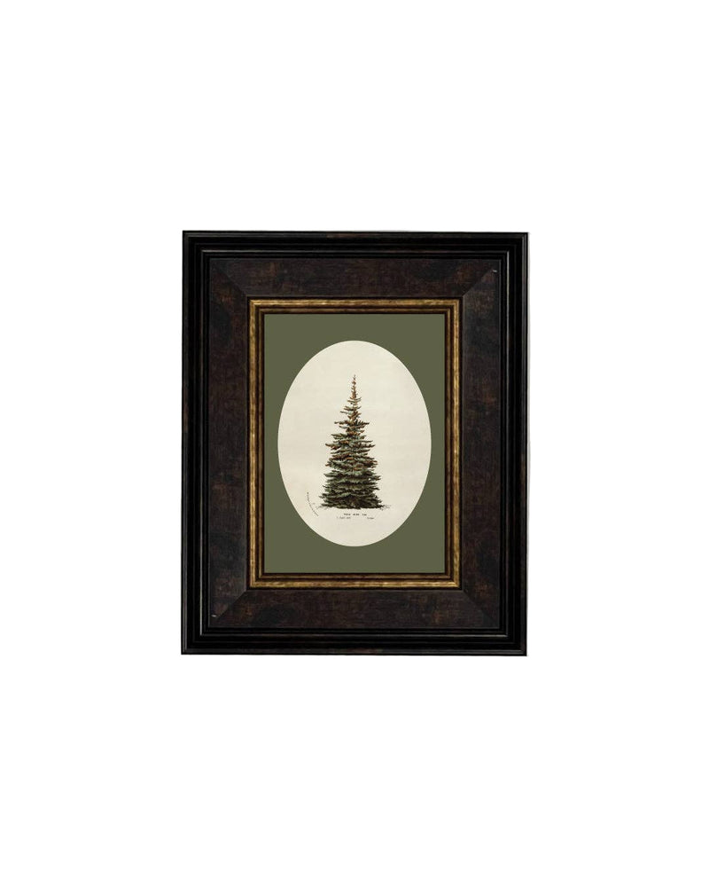 Oval Matte Tree - 10 x 12