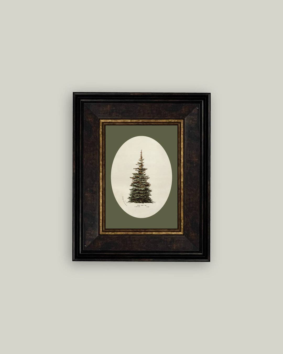 Oval Matte Tree Framed Antique Art -7x9