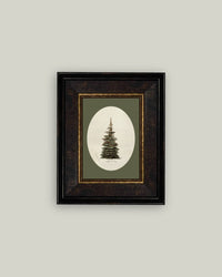Oval Matte Tree Framed Antique Art -7x9